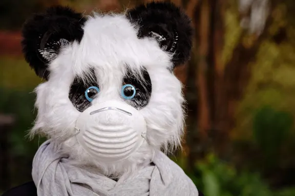 נוקסווינ קזינו תמיכה